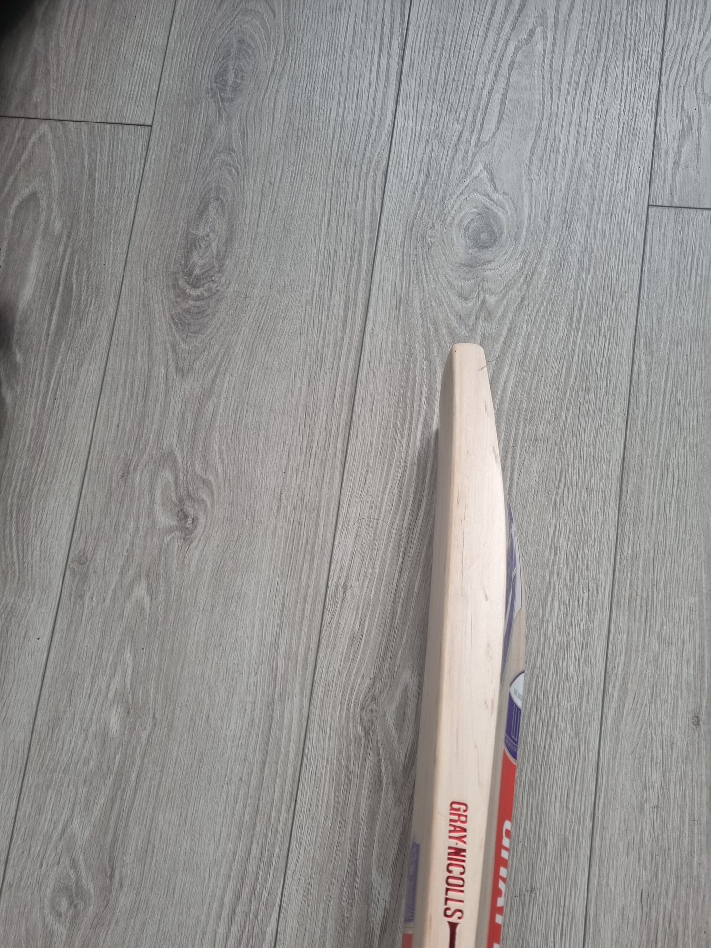Gray Nicolls GEM GN4 English Willow Cricket Bat